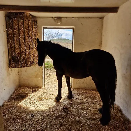Il Drago Alloggio per agriturismo Mirabella Imbaccari