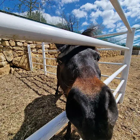 Vakantieboerderij Il Drago Mirabella Imbaccari