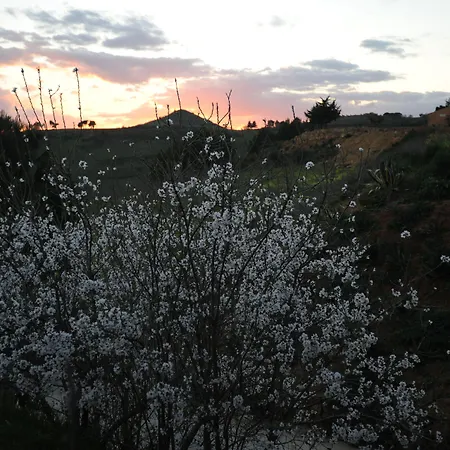 Il Drago Piazza Armerina