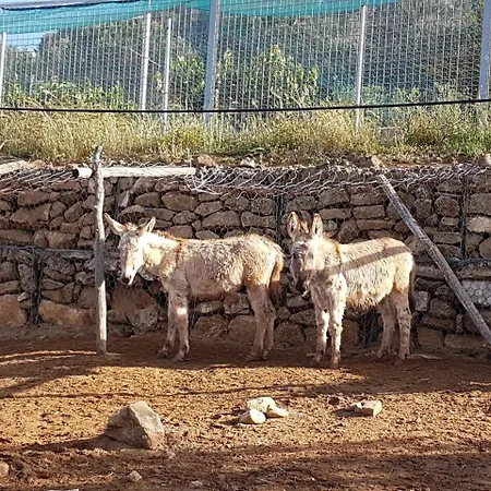 בית חווה Il Drago פיאצה ארמרינה