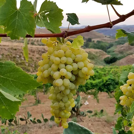 Il Drago Piazza Armerina