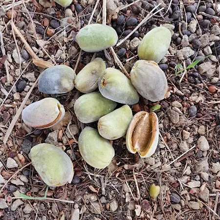 Farmház Il Drago Piazza Armerina